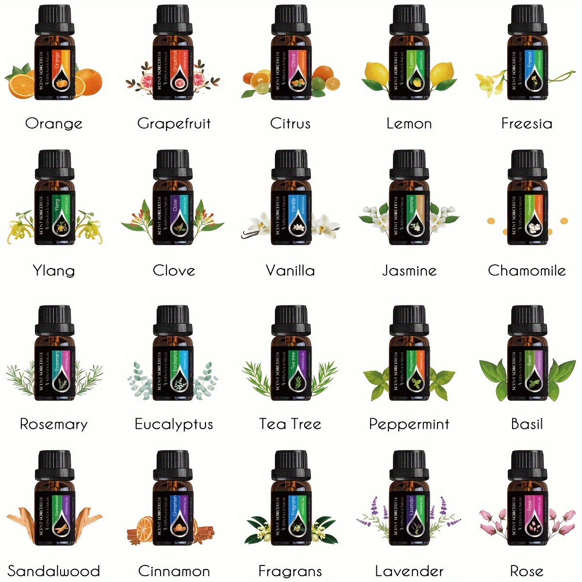 20pcs/set Black Classic Essent - Perfume Fragrance Essence review and price